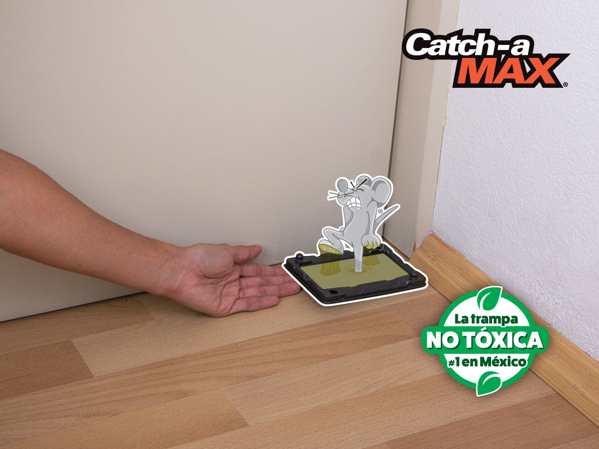 Catch-a MAX® Trampas de Pegamento para Ratones en Charola